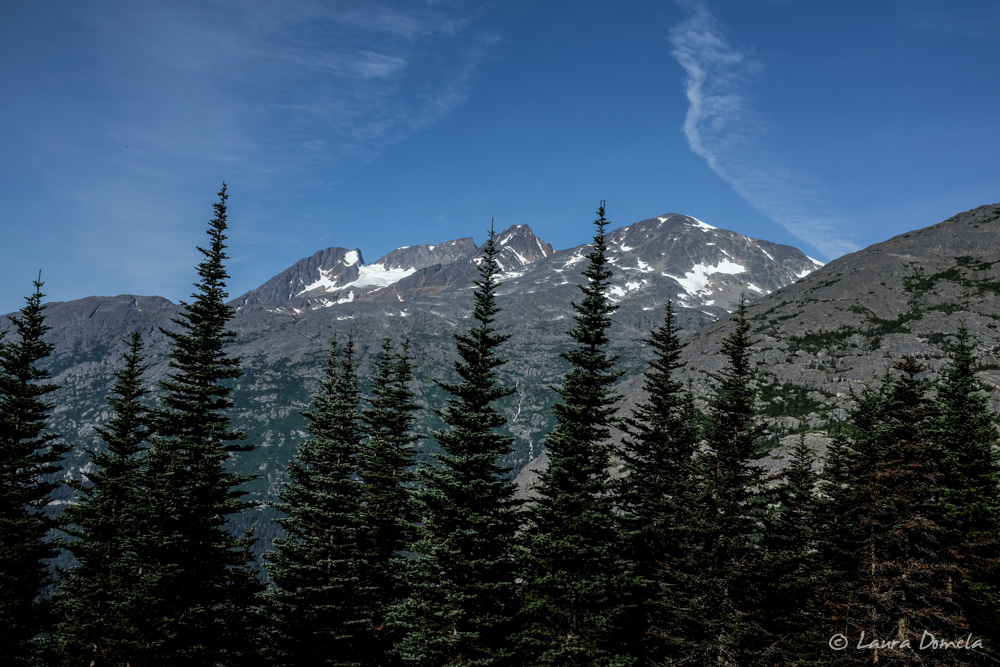 whitepass_yukon-6708