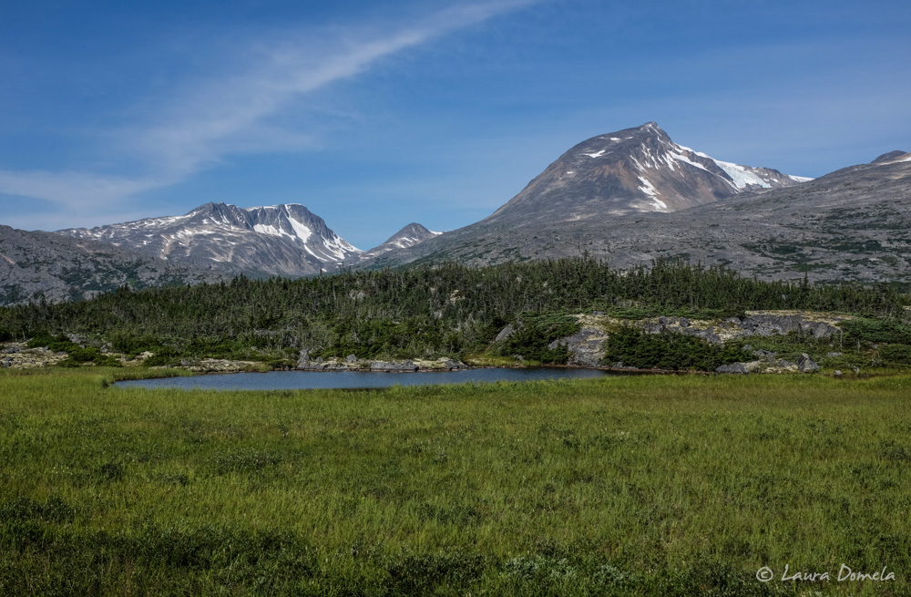 whitepass_yukon-6747