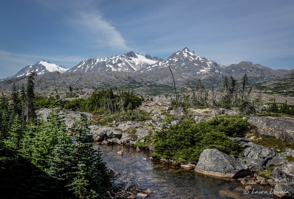 whitepass_yukon-6770