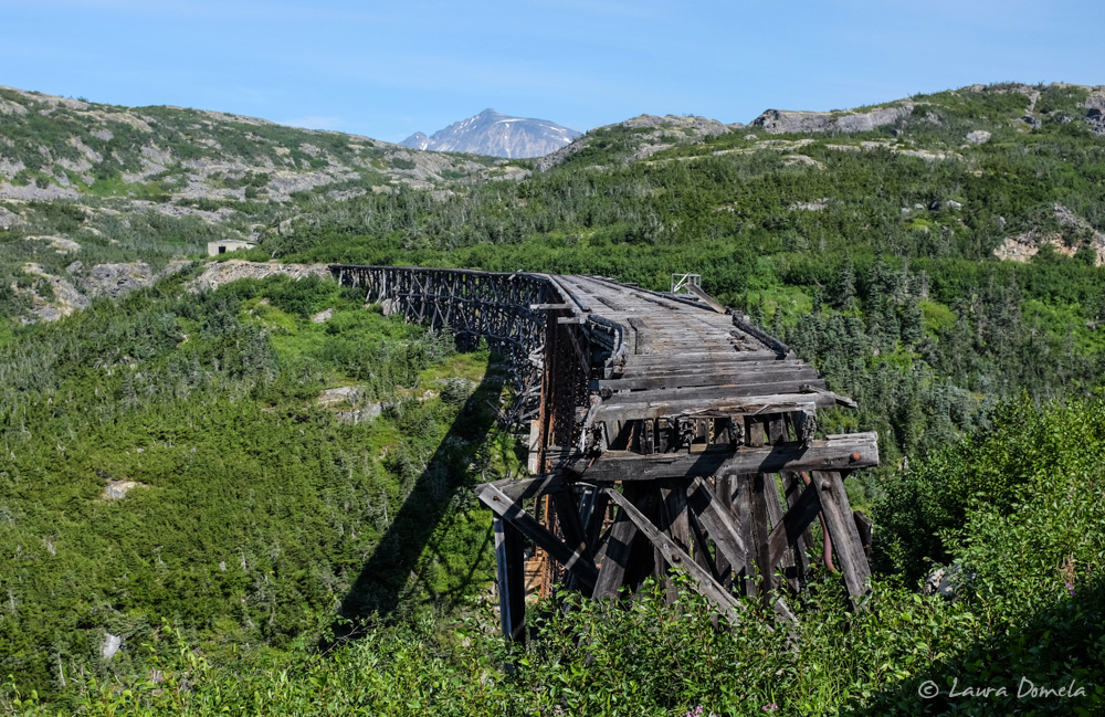 whitepass_yukon-6785